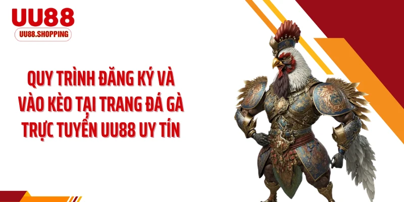 Quy trình đăng ký và vào kèo tại trang đá gà trực tuyến UU88 uy tín